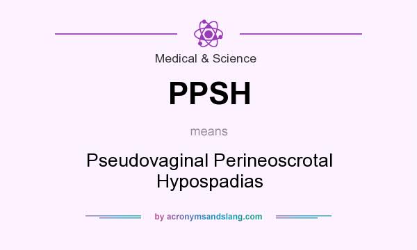 perineoscrotal