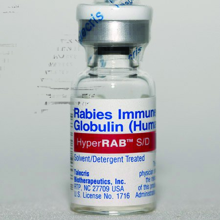 rabies immune globulin