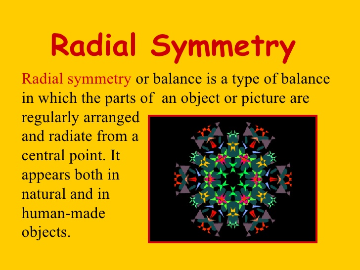 radiosymmetrical