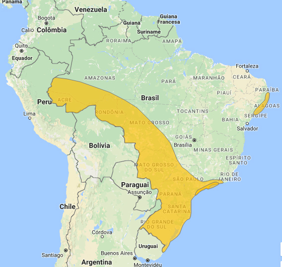 Rondônia
