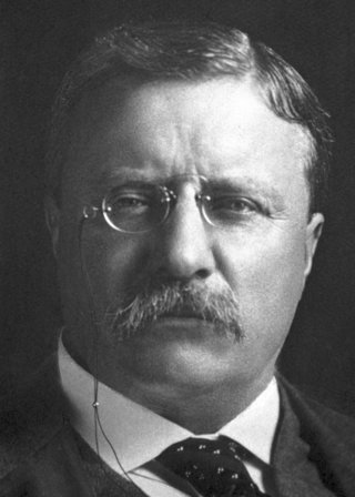 Roosevelt, Theodore