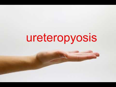 ureteropyosis
