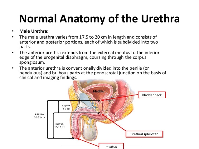 urethr-