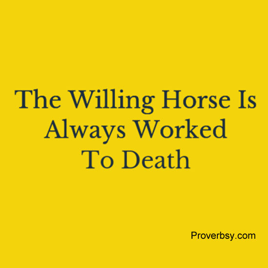 willing horse
