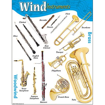 wind instrument