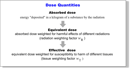 absorbed dose