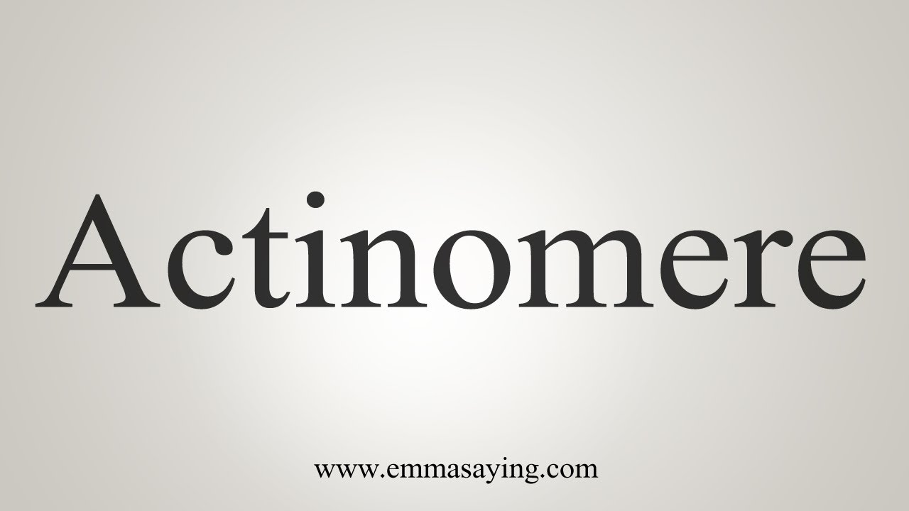 actinomere
