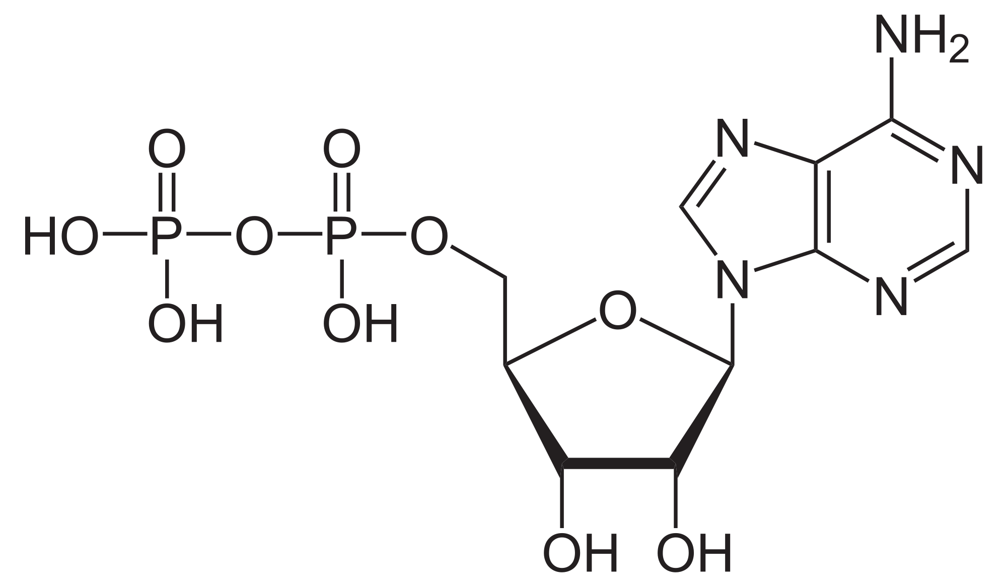 adenosine triphosphatase