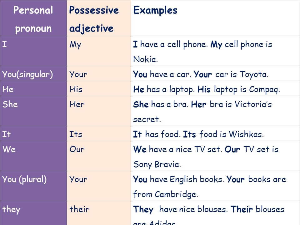 possessive-adjectives-multiple-choice-ficha-interactiva