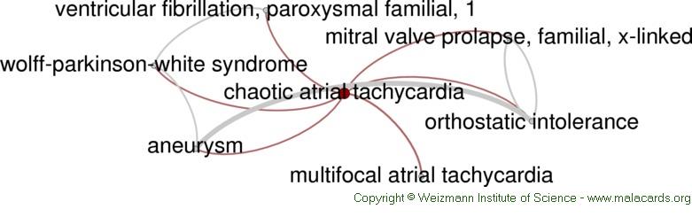 atrial chaotic tachycardia