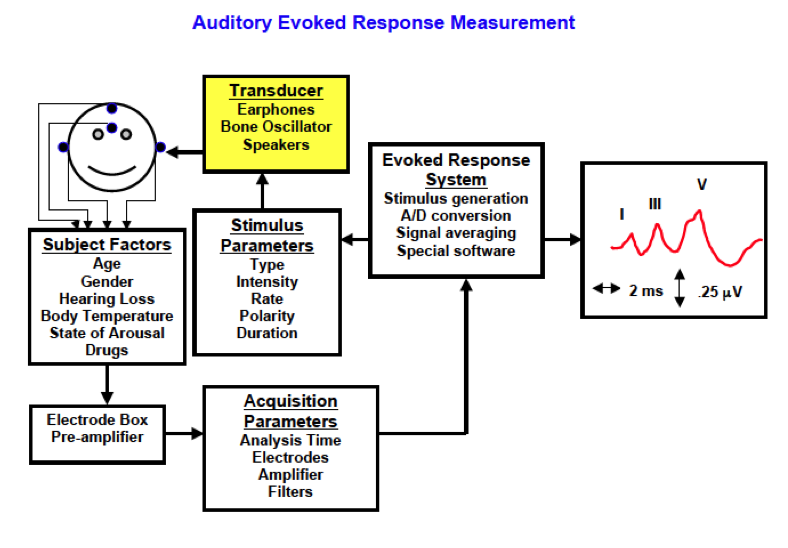 auditory brainstem response audiometry