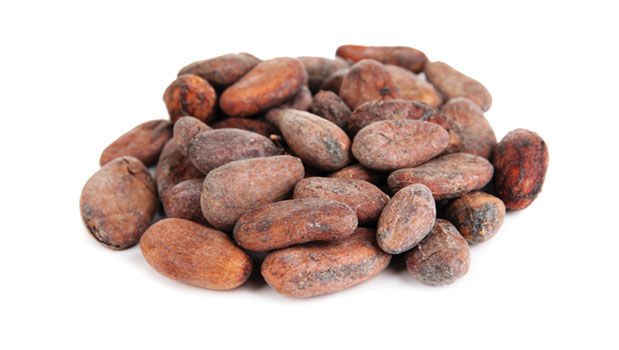 cacao bean