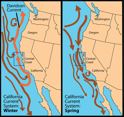 california current