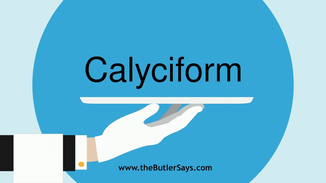 calyciform