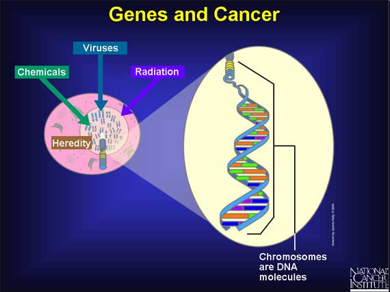 cancer gene