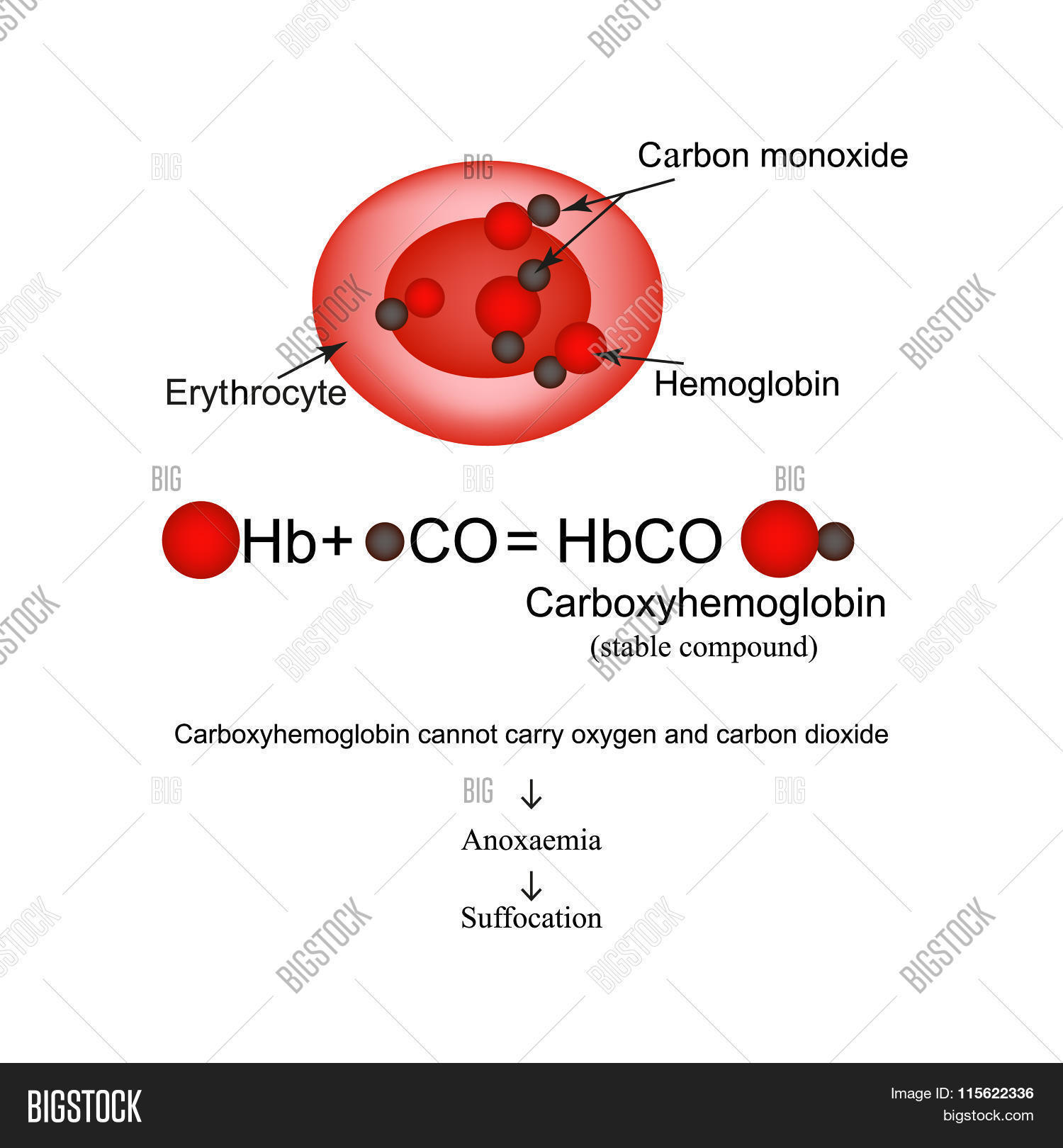 carboxyhaemoglobin