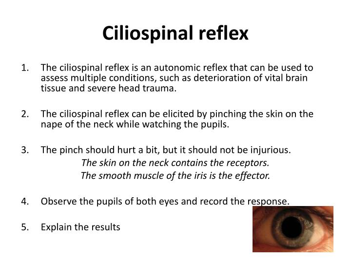 ciliospinal reflex
