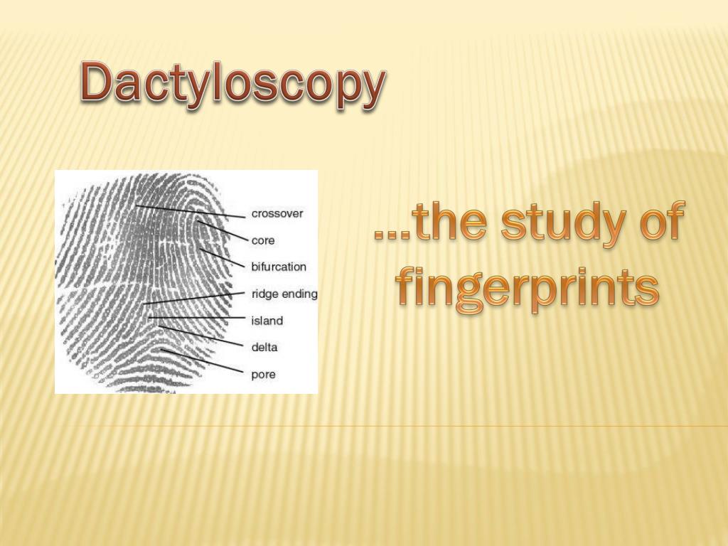 dactyloscopy