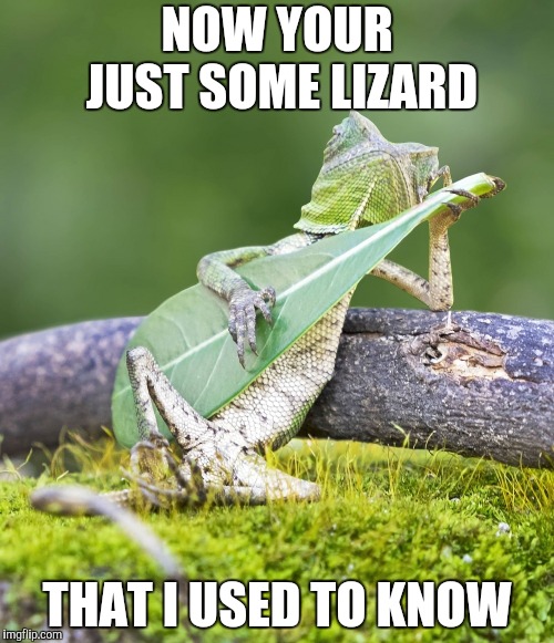 gotcha lizard