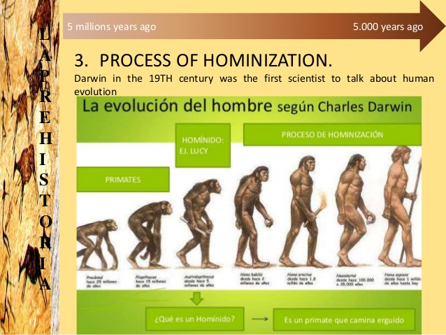 hominization