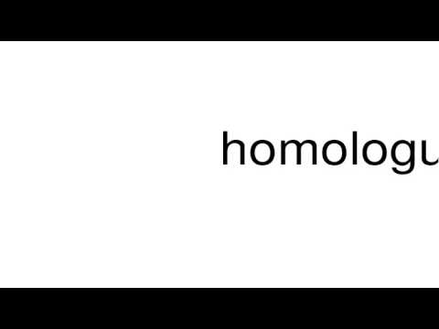 homologumena