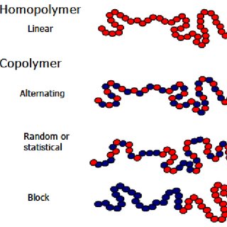 homopolymer