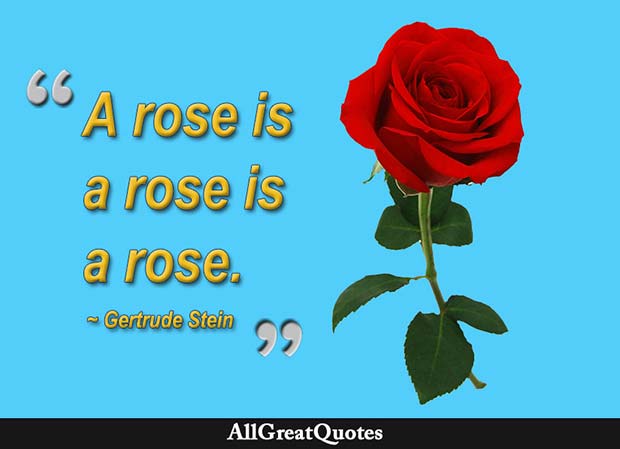 rose is a rose is a rose is a rose