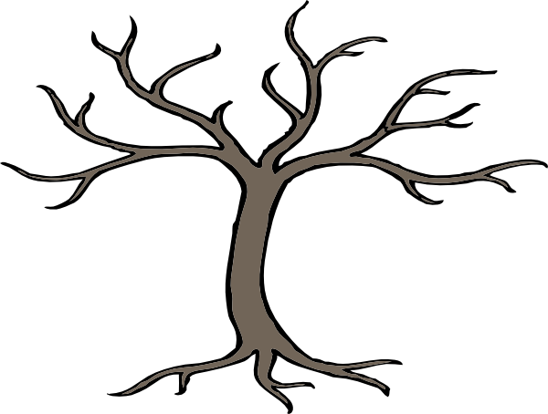 tree-and-branch