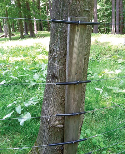 tree post
