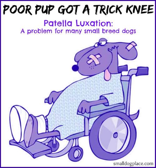 trick knee
