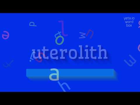 uterolith