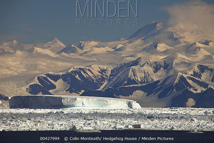 Iceberg trapped in pack ice, Admiralty Range, Antarctica - Colin Monteath/  Hedgehog House
