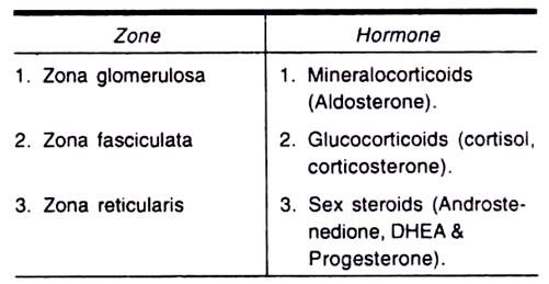 Zone and Hormone