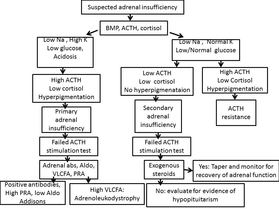 Approach to patient with suspected adrenal insufficiency - Abbreviations:  BMP; biochemical metabolic profile, ACTH; adrenocorticotropin, Na; serum  sodium,
