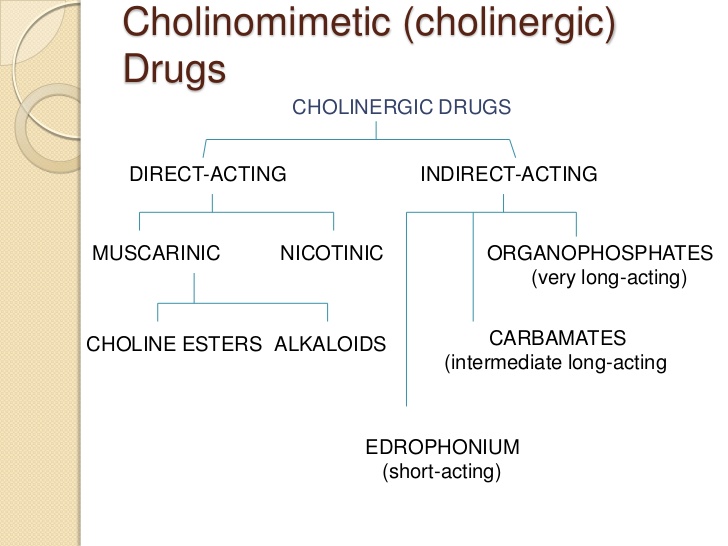 Anticholinergic DrugsANTICHOLINERGIC DRUGS CHOLINESTERASE  REGENERATORSANTIMUSCARINIC ANTINICOTINIC OXIMES; 7. Sympathomimetic ( adrenomimetic)