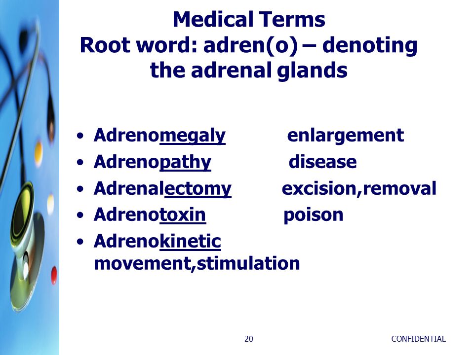 the adrenal glands Adrenomegaly enlargement Adrenopathy disease  Adrenalectomy excision,removal Adrenotoxin poison Adrenokinetic  movement,stimulation