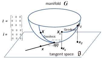 Illustration of geodesics on the Affine Group. (note: the real geometrical  shape of