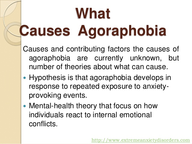 3. What Causes Agoraphobia