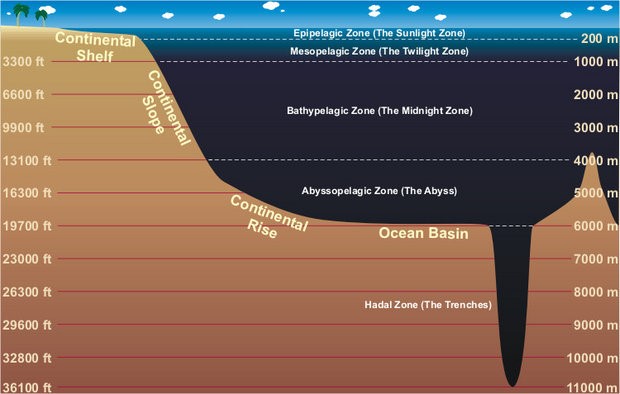 The bathyal zone or bathypelagic (also known as midnight zone) is the part  of the pelagic zone that extends from a depth of 1000 to 4000 metres (3300  to