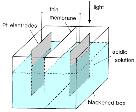 First photovoltaic Devices