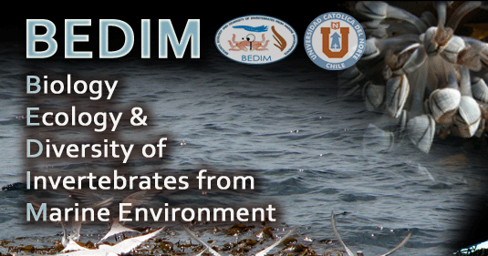 BEDIM, Biology, Ecology and Diversity of Invertebrates from Marine  environments.