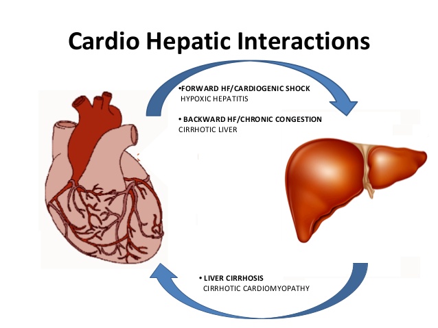 Cardio Hepatic Interactions