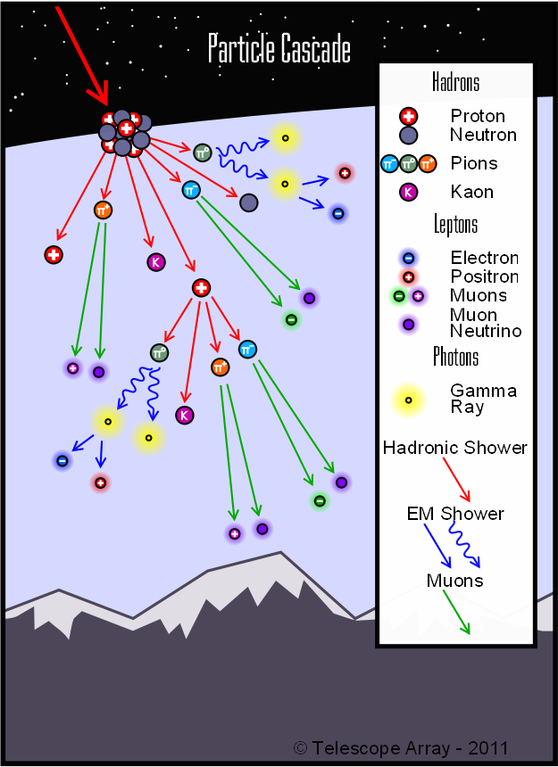 Figure 2: A schematic of a particle cascade induced by a cosmic ray  interacting with