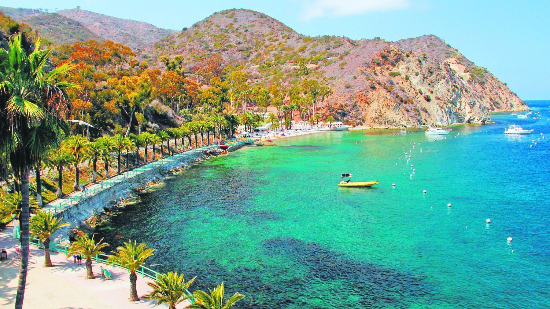 Stay more than a day to get the most of Catalina Island - The San Diego  Union-Tribune