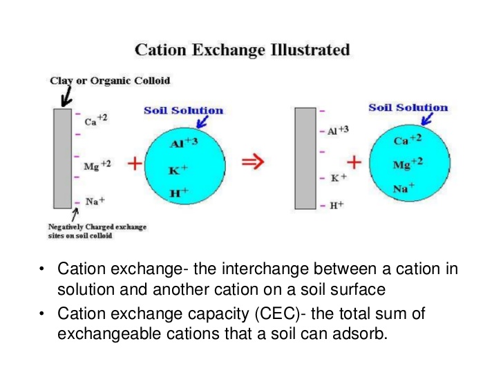 n. A chemical process in which cations of like charge are exchanged equally...