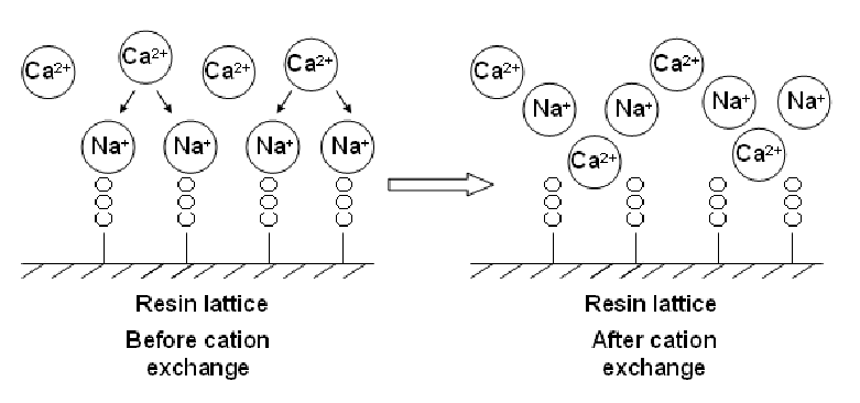 Mechanism of cation exchange process to remove undesired ions