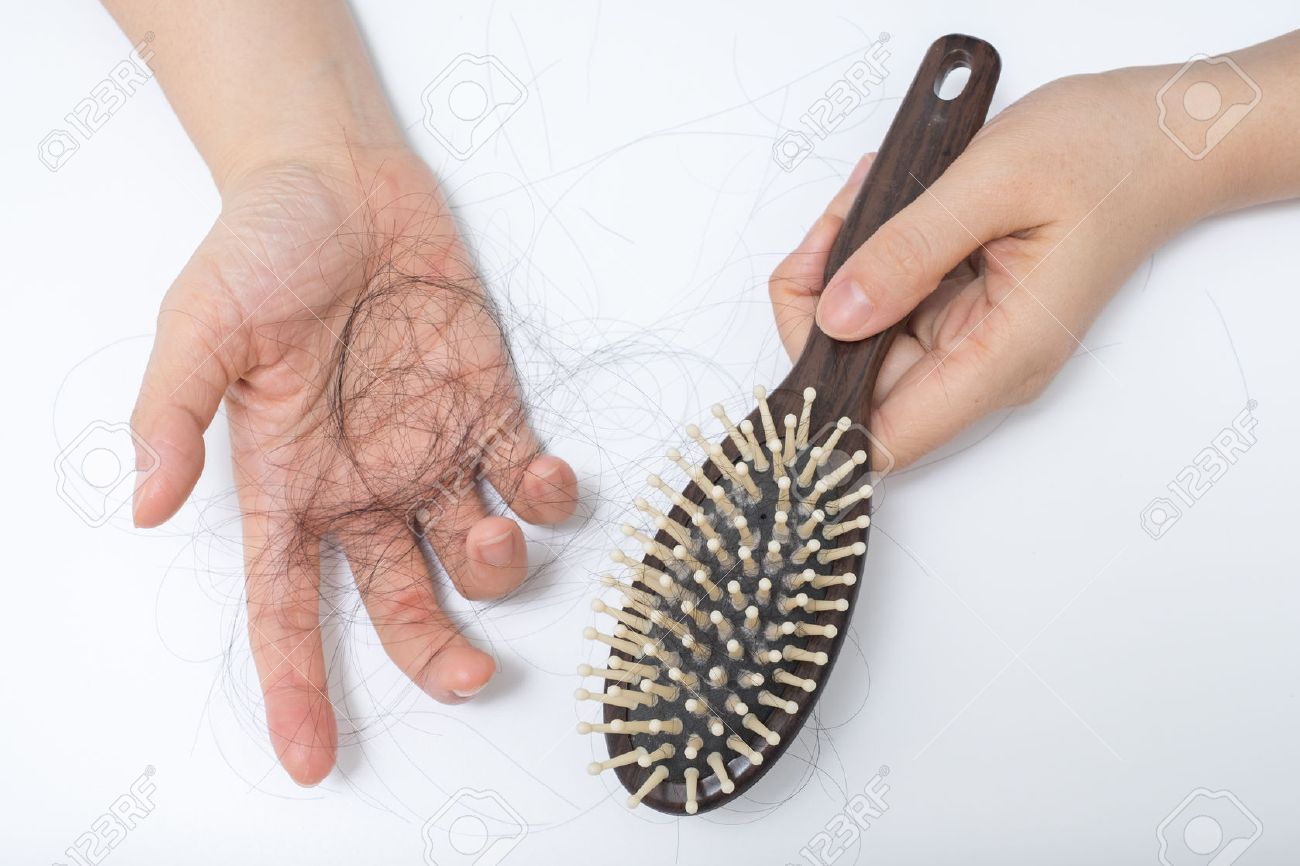 Hair loss in woman hands and bruch, on white background, women postpartum  defluvium Stock