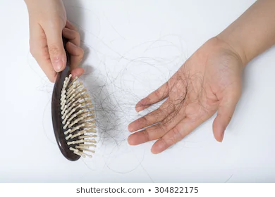 Hair loss in woman hands and bruch, on white background, women postpartum  defluvium