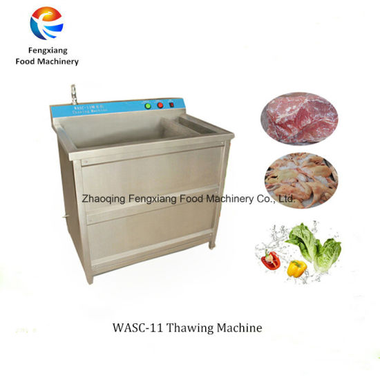 Automatic Defrost Product, Meat Defreezing Thawing Machine, Thawing  Unfreezing Machine, Vegetable Wshing Machine