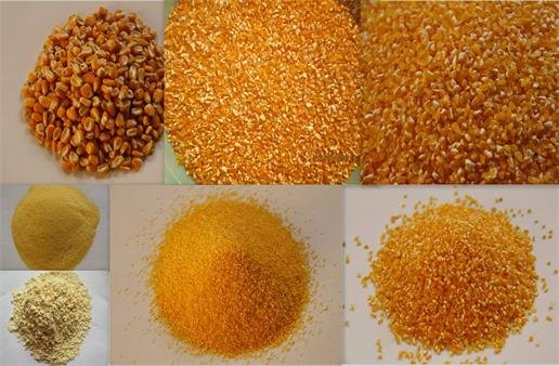 Multi-functional 6FW-D1 Degerminated Corn Grits, Meal Milling Machine for  Sale image